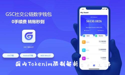 国内Tokenim限制解析及应对策略
