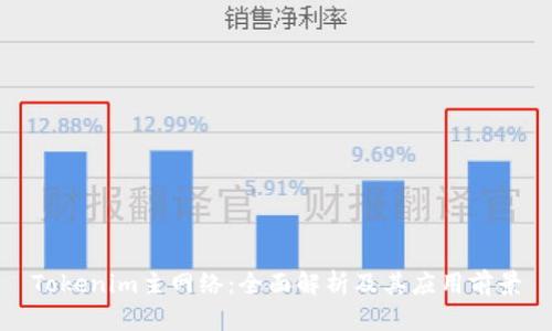 Tokenim主网络：全面解析及其应用前景