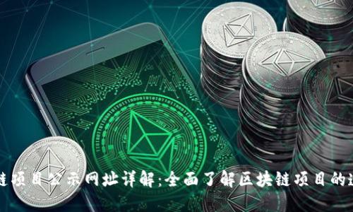 区块链项目公示网址详解：全面了解区块链项目的透明度