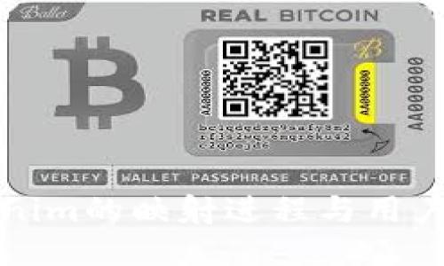 Tokenim的映射进程与用户指南